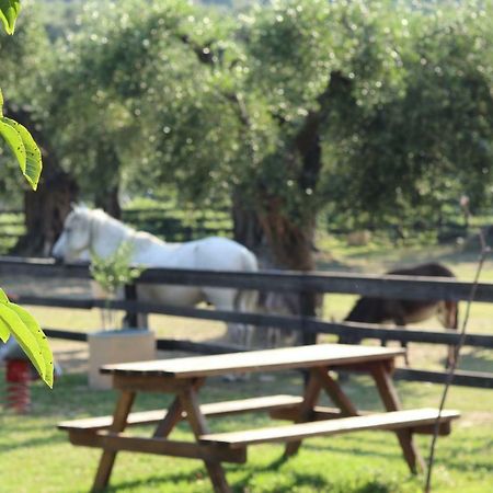 Honigtal Farmland Villa Agios Georgios Pagon Exterior photo
