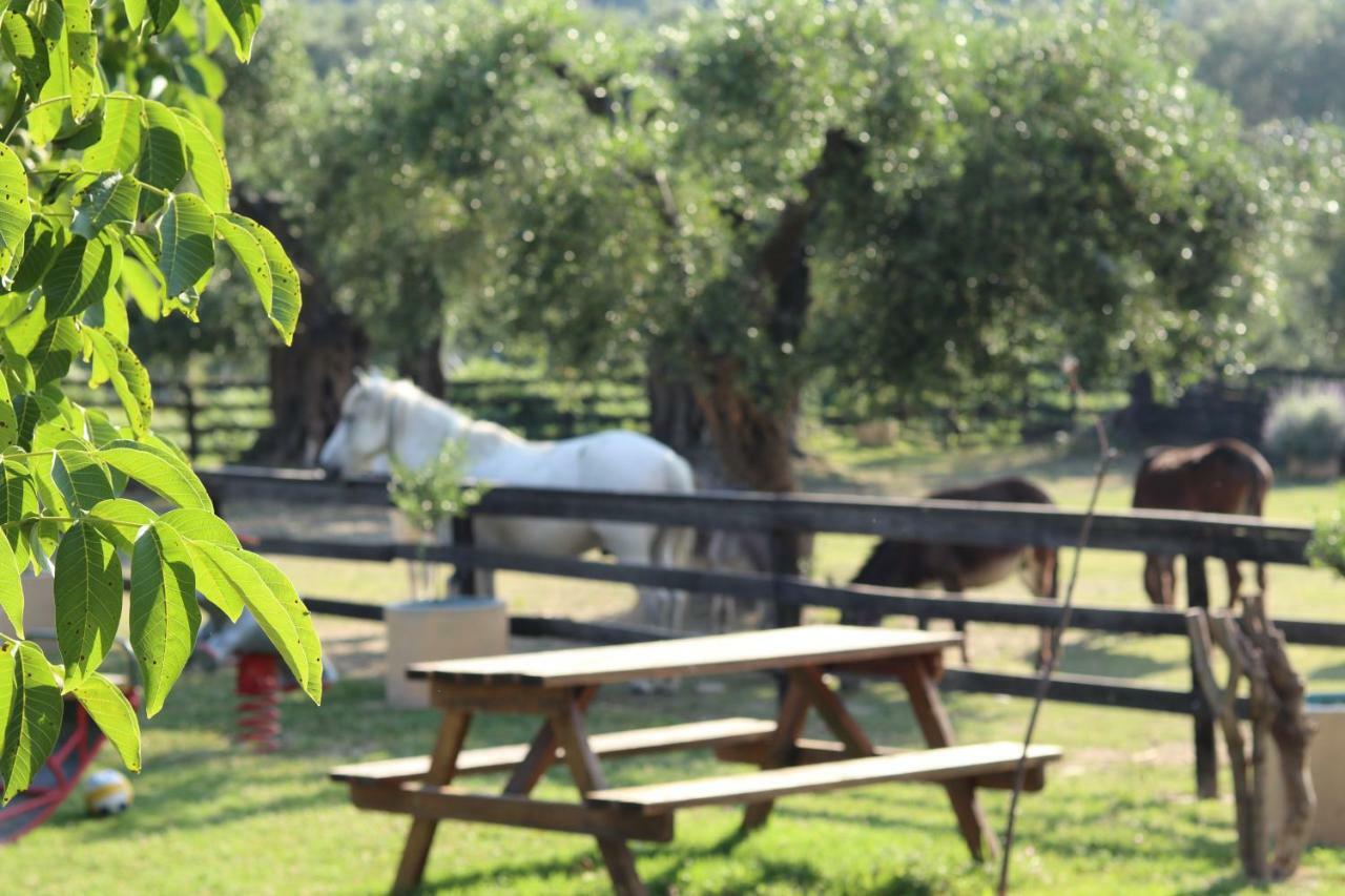 Honigtal Farmland Villa Agios Georgios Pagon Exterior photo